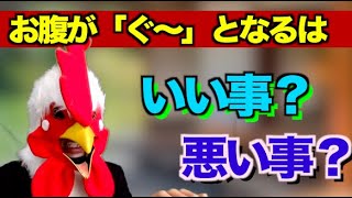 お腹が「ぐ〜」と鳴る理由とは？