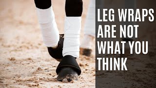 Why the Dutch BANNED Leg Wraps | Equestrian News | Equestrian Education