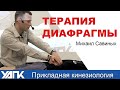 Висцеральная терапия. Работа с диафрагмой (Михаил Савиных)