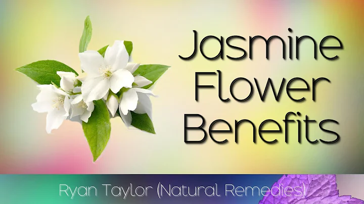 Descubra os incríveis benefícios da Flor de Jasmim!