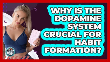 Why Is The Dopamine System Crucial For Habit Formation? - Habit Hacks Hub