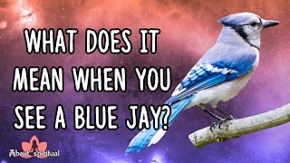 What Does It Mean When You See A Blue Jay Powerful Meaning And Symbolism About Spiritual