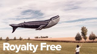 the best sites to get free pictures and video 2018