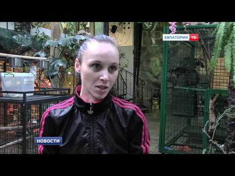 Еще один Какаду в Тропикпарке