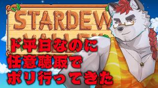 柴エナの初見スタデューバレー３回目