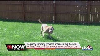DogVacay company offers affordable dog boardings
