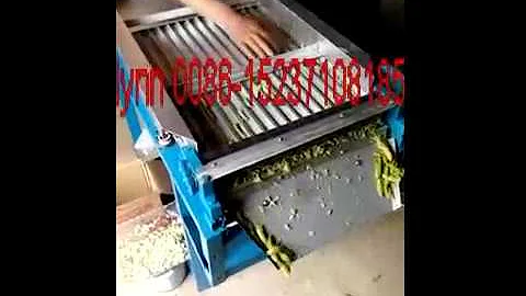 pea bean sheller machine green bean peeling machine from lynn yang 86 15237108185