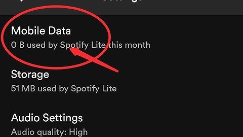 Spotify lite me mobile data kaise check kare, How to check mobile data in Spotify lite
