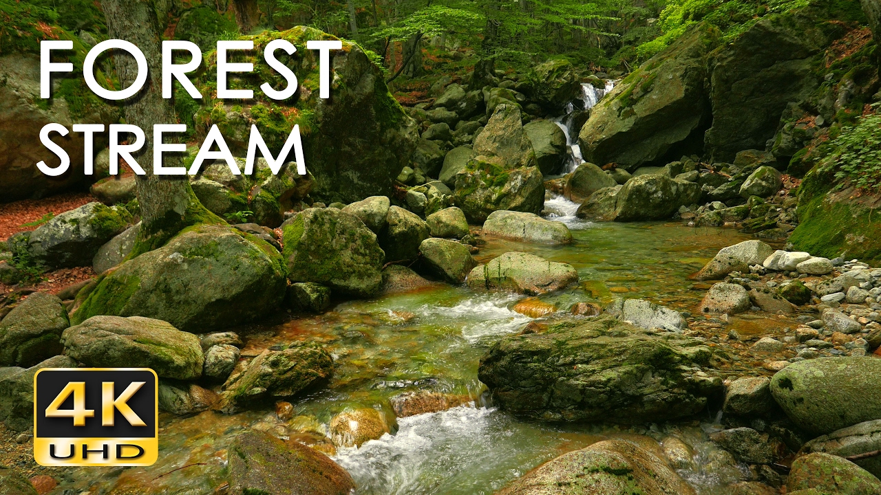 4K Forest Stream   Relaxing River Sounds   No Birds   Ultra HD Nature Video    Relax Sleep Study