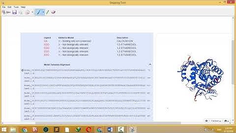 BIF401 Assignment No.2 Uniport Sequence complete assignment All Questions Solved  Www.vuctn.com