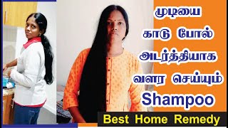 Get ready for Thick hair growth challenge in Tamil |Pacha payaru |முடி அடர்த்தியா காடு மாதிரி வளரும்