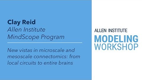 Allen Institute Modeling Workshop | Clay Reid