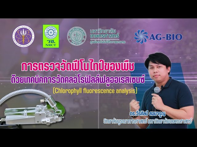การตรวจวัดฟีโนไทป์ของพืช ด้วยเทคนิคการวัดคลอโรฟิลล์ฟลูออเรสเซนซ์ (chlorophyll fluorescence analysis)