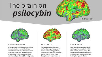 Study advances efforts to harness psilocybin