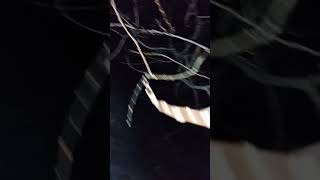 16 февраля 2025 г.