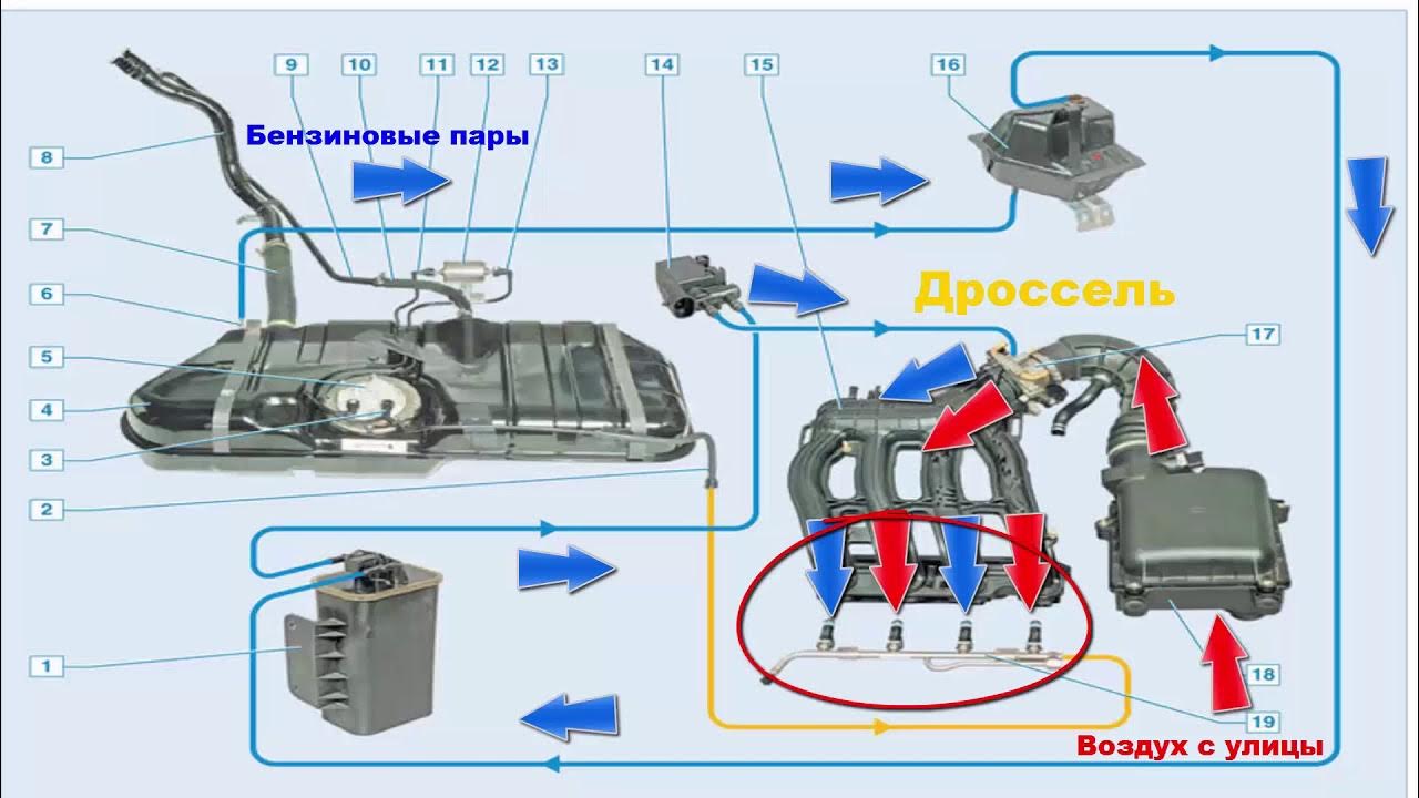 Ошибки адсорбера. Симптомы неисправности и проверка клапана продувки ...