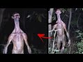 Times When Creepy Creatures Were Caught By Security Cameras
