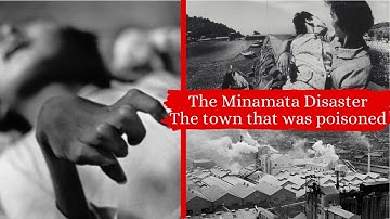 The Minamata Disaster | The town that was poisoned