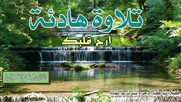تلاوة هادئة تأخدك لعالم من الراحة والسكينه |سورة الفرقان | القارئ وضاح الحمودي wadhah alhamodi