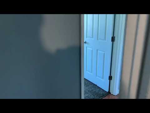 619 Palmer Ave, Romeoville, IL home video tour