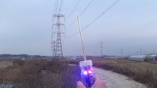 Electrostatic Polarity Detector under AC High voltage transmission line