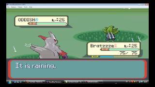 Let´s play Pokemon Rubin 30# Weitere Fails HD