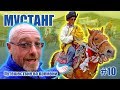 Фестиваль "Яртунг" - скачки горцев на лошадях. МУСТАНГ: Путешествие во времени #10