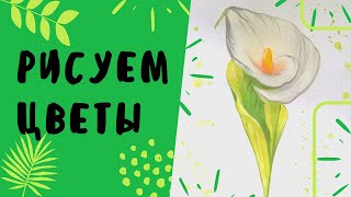 Как рисовать цветы гуашью.Как быстро нарисовать цветы на 8 марта. Drawing Watercolor Flowers