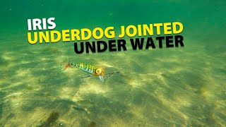 Spro - Iris Underdog Jointed - Under Water