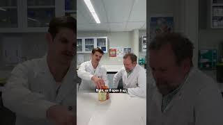 How to check if yoghurt past it's best before is safe to eat