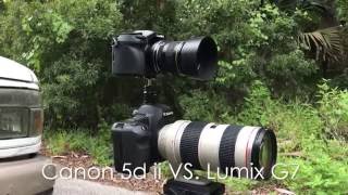 Canon 5d ii vs Lumix G7