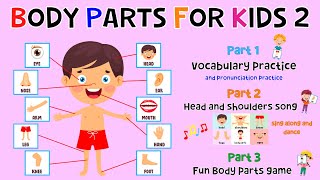 Body Parts For Kids 2 | Learn Parts Of The Body | Body Part Quiz | ESL Kids | 4K