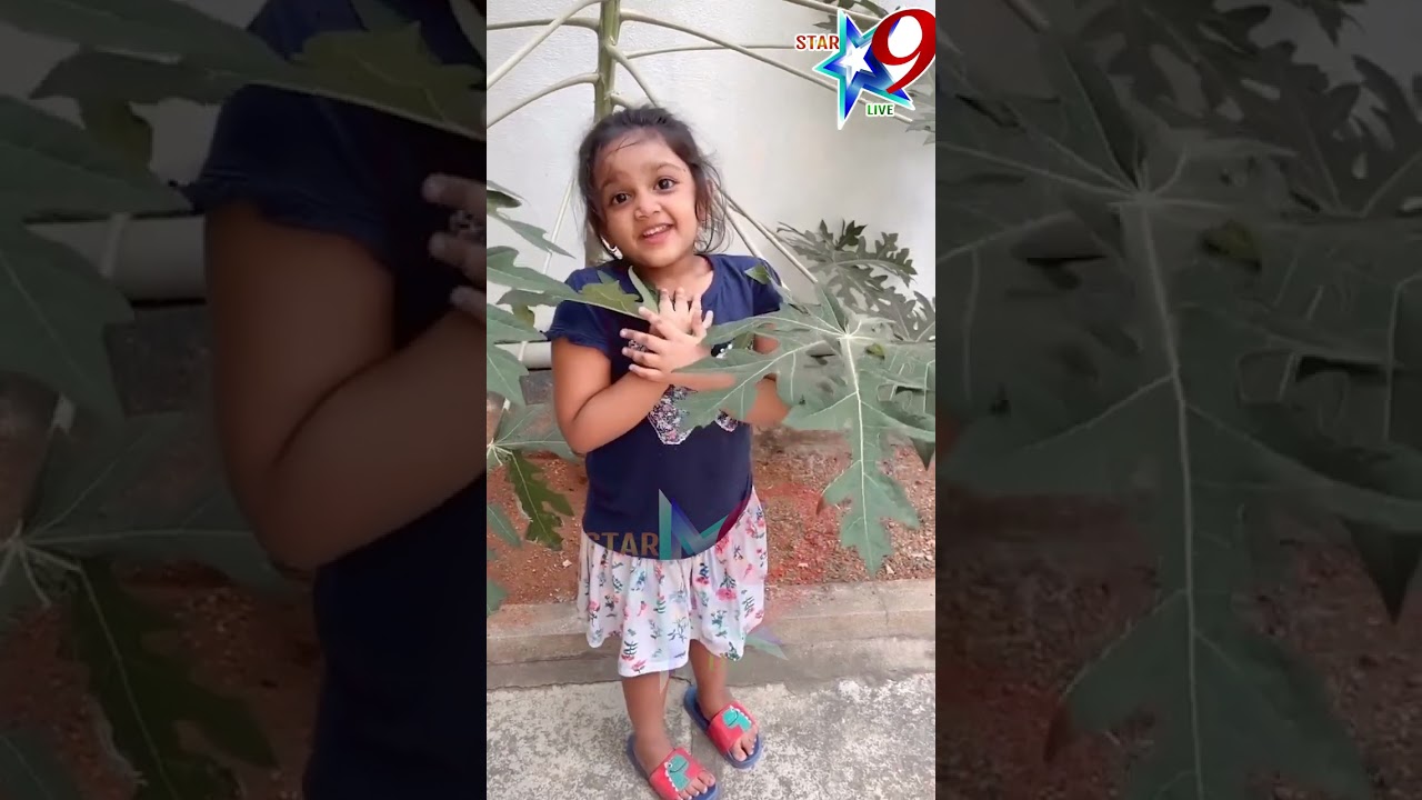 STAR9 LIVE The Amazing baby - extrordinary feelings