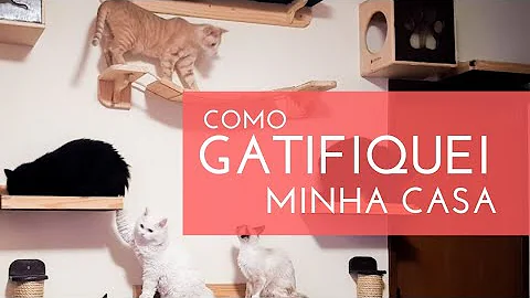 Como montar um espaço para gatos?