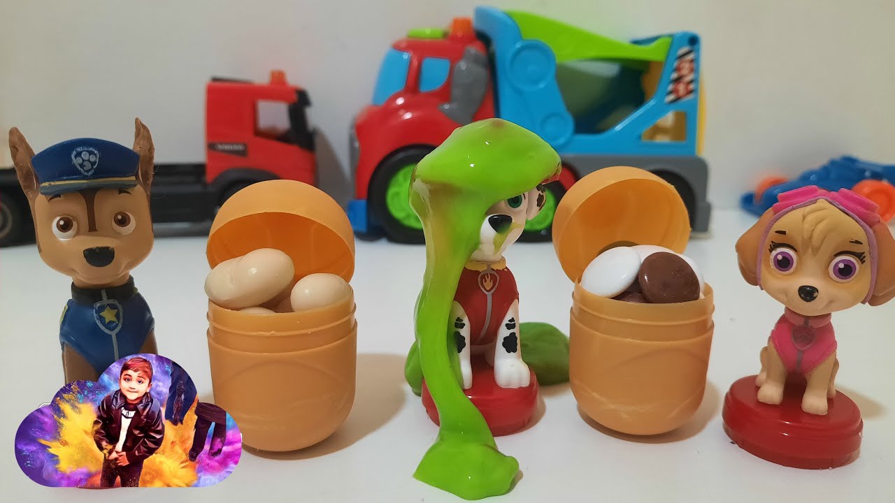 paw patrol toys in hindi