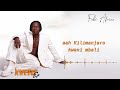 MWANAHAMISI LYRICS FABI AFRICA 