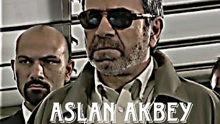 Aslan Akbey - Edit Resimi