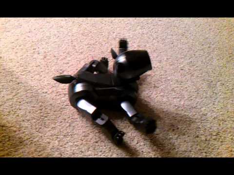AIBO Waking Up