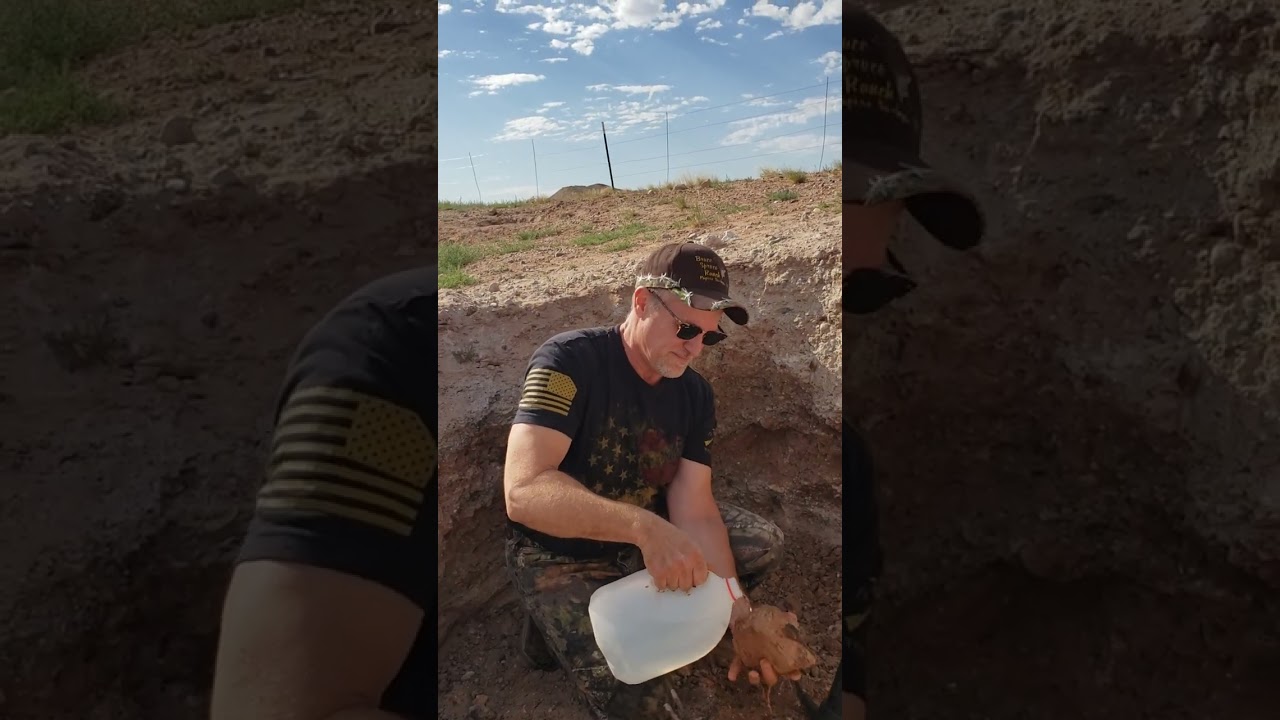 Petrified Wood Dig - Dobell Ranch