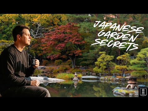 Japanese Garden Design Why This Modern Garden Feels 400 Years Old Nakajima Koen