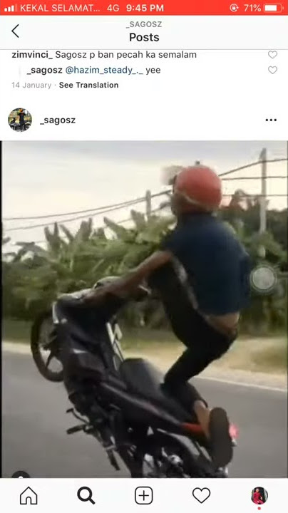 Ysuku pacak