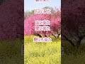 春が来た作詞：高野辰之／作曲：岡野貞一