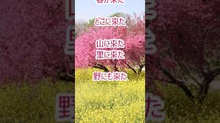 春が来た