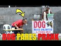 Dog pares prank  ganito lang pala ang secreto sa pag luto ng pares