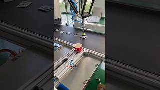 Multiple logistics & carton packaging tests.Welcome to consult! #automation #china