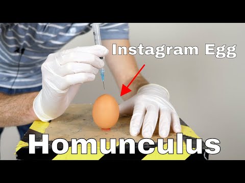 Man Makes Homunculus Monster From Instagram Egg