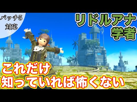 【FF14】リドルアナに学者(ヒーラー)で挑戦【これだけ知っていれば怖くないヒーラー編 2021年版】