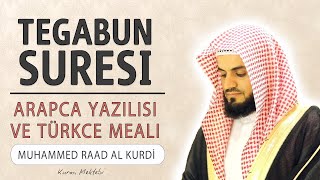 Tegabun suresi anlamı dinle Muhammed Raad al Kurdi (Tegabun suresi arapça yazılışı okunuşu ve meali)