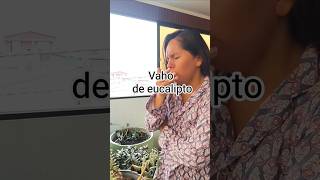 vaho de eucalipto #tutorial #eucalipto #tos #vahodeeucalipto