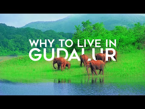 Gudalur - A Rare Hill Station - A Satellite Town - Bordering 3 States - Much More...
